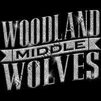 GLT57 SILVER GLITTER Thumbnail