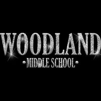 GLT21 SILVER GLITTER Thumbnail