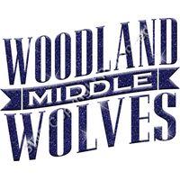 GLT57 BLUE GLITTER Thumbnail